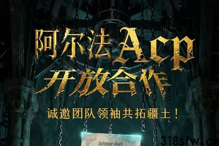 网络项目